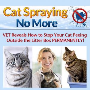 No More Cat Spray