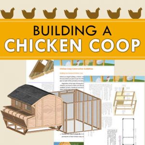 Build a Chicken Coop