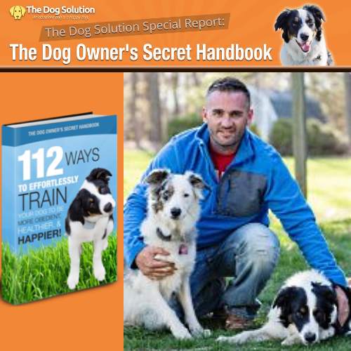 The Dog Owner's Secret Handbook