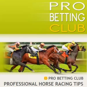 Professional Horse Racing Tips