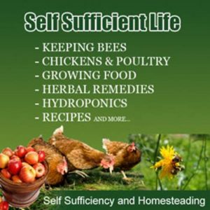 Self Sufficiency and Homesteading