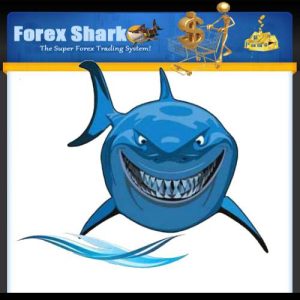 Forex Shark