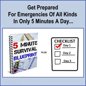 5 Minute Survival Blueprint