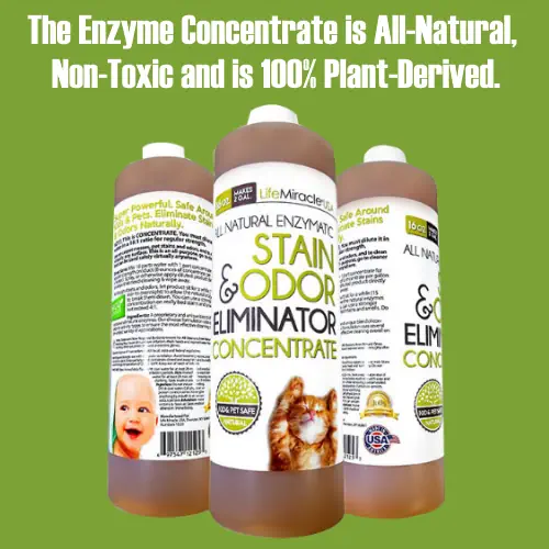 All Natural Enzymatic Cleaner