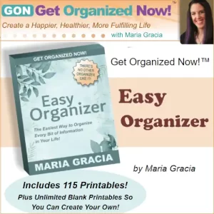 Easy Organizer