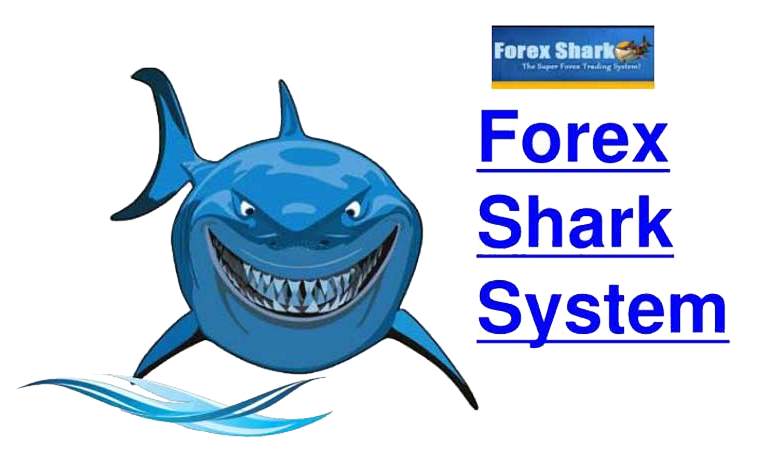 Forex Shark System