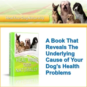 Heal Your Dog Naturally