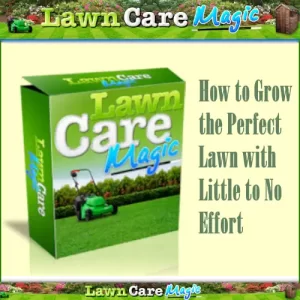 Lawn Care Magic