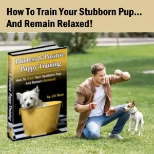 Painless and Positive Puppy Training Manual