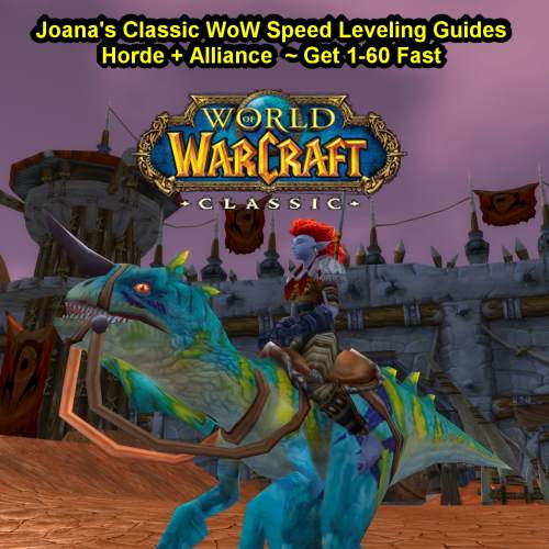 Joana’s Classic WoW Speed Leveling Guides