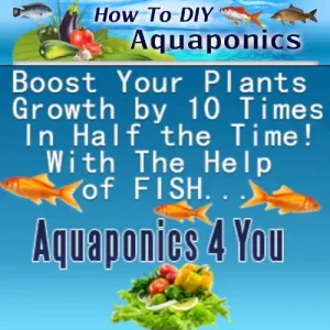 How To DIY Aquaponics