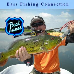 Bass Fishing Connection