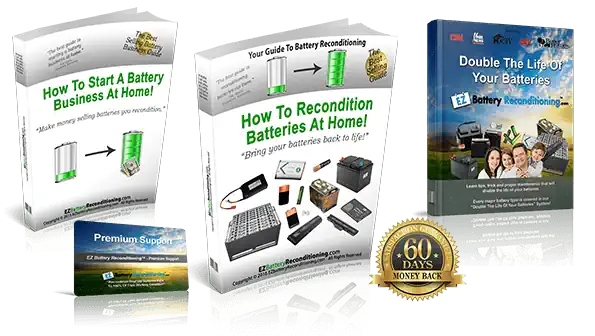 EZ Battery Conditioning Media
