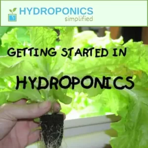 Getting Started In Hydroponics