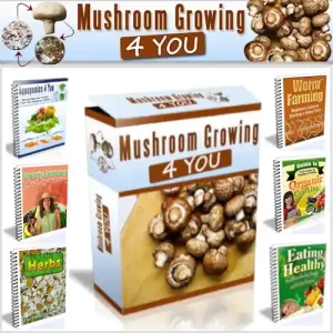 Mushroom Growing 4 You