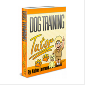 Dog Training Tutor