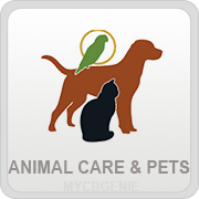 Animal Care & Pets