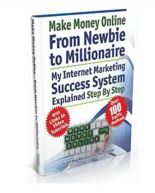 From Newbie To Millionaire Ebook Cover