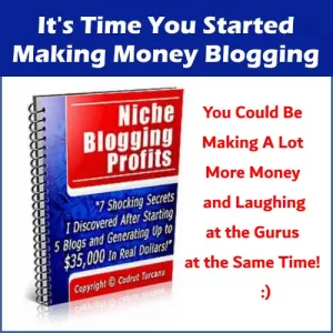 Niche Blogging Profits