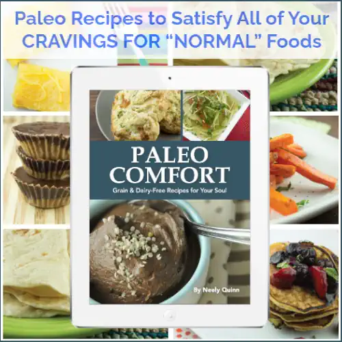 Paleo Comfort Cookbook by Neely Quinn