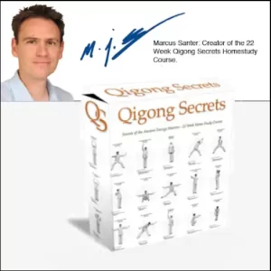 Qigong Secrets
