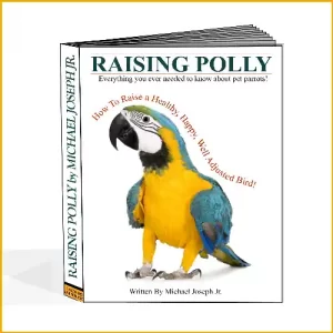 Raising Polly: How-to Raise A Healthy, Happy Well Adjusted Bird!