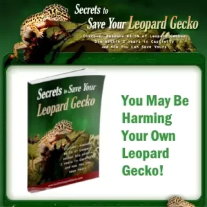Secrets To Save Your Leopard Gecko