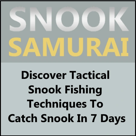 The Ultimate Guide to Snook Fishing