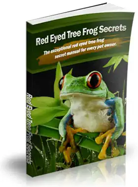 Red Eyed Tree Frog Secrets eBook